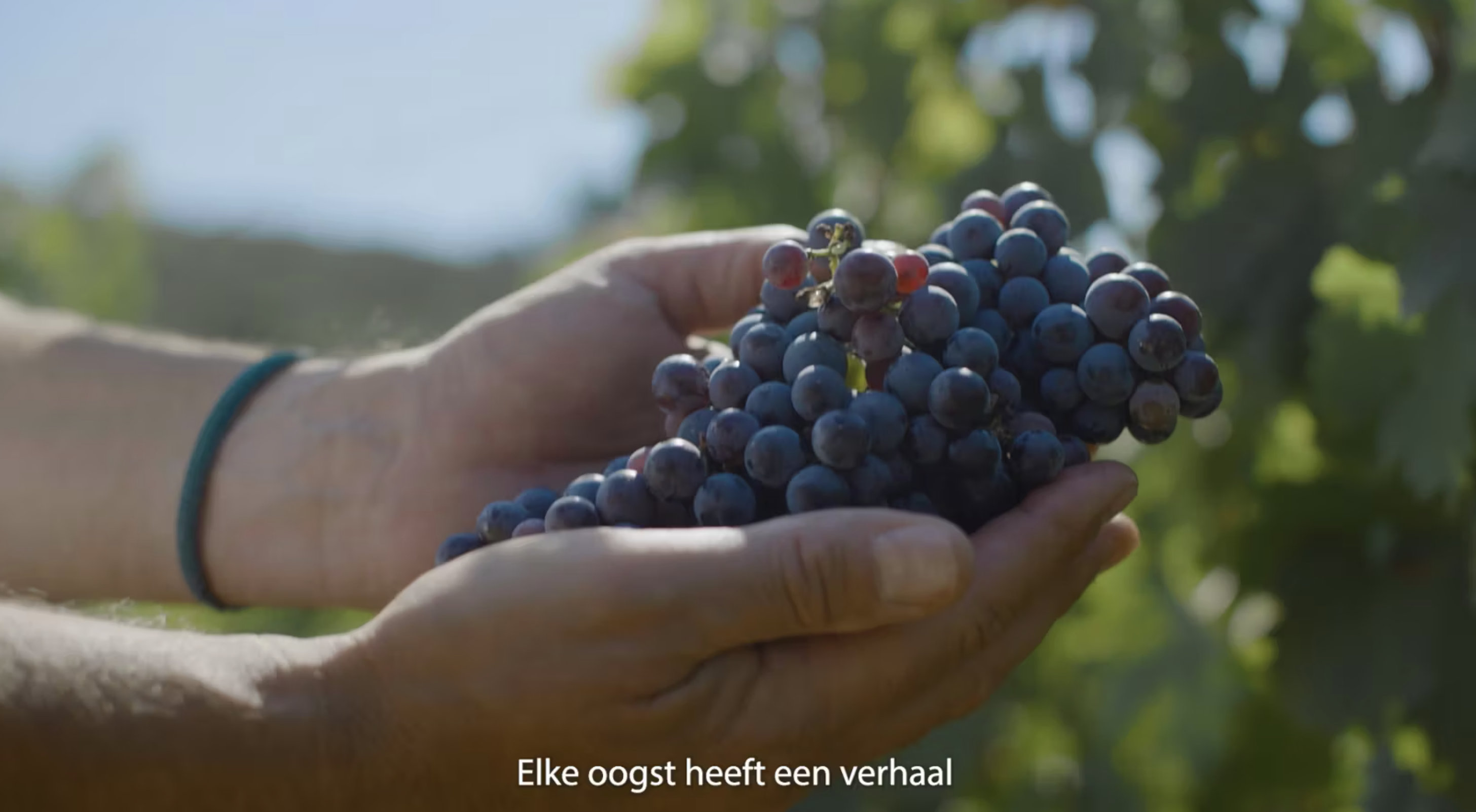 Scherm­afbeelding 2025-07-01 om 14.20.51